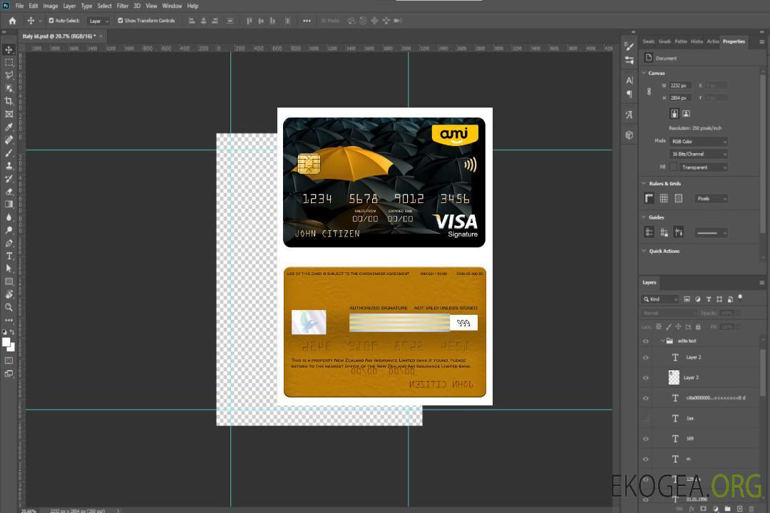 Carte de signature de visa bancaire Ami Insurance Limited de Nouvelle-Zélande template